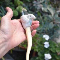 White Raven Deer Antler Wand - Image 2