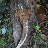 Forrest Goddess Deer Wand